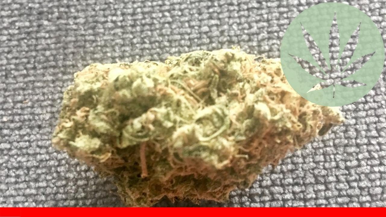 White Walker Kush - All About This Strain