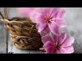 বিস্তীর্ণ দুপারে