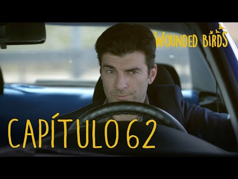 Wounded Birds (Yaralı Kuşlar) | Capítulo 62 en Español