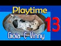 Video 13: Extended Playtime