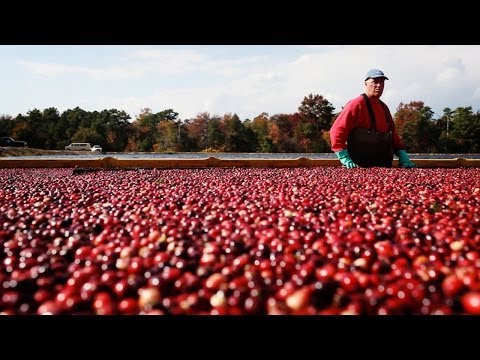 Tiny Desk Kitchen: Bow Down To Cranberries