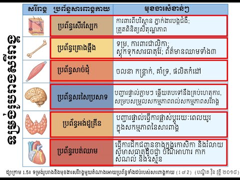 Form, structure and major function of organs and organism of the body