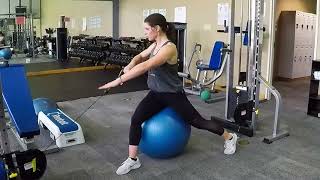 Seated Ipsilateral Cable Pull