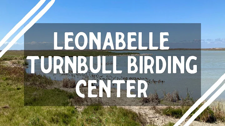 Leonabelle Turnbull Birding Center || Exploring Port Aransas, Texas