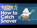 How to Find &amp; Catch Snover In Pokemon Legends Z-A