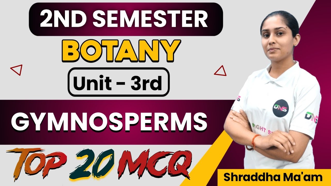 B.Sc 2nd Semester Botany Unit-3rd Gymnosperms||Botany Gymnosperms B.Sc 2nd Sem. MCQ||Gymnosperms MCQ