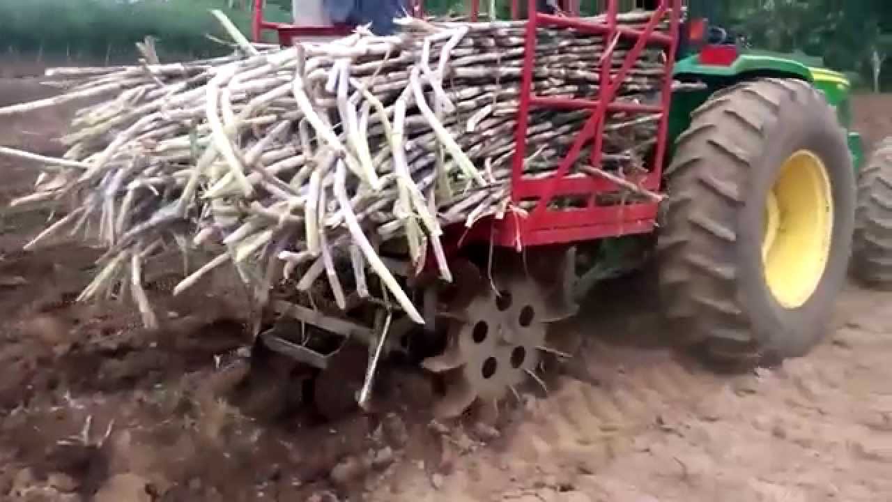 Alat Menanam tebu (alat menanam tebu) - YouTube