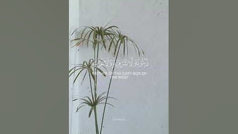 الله نور السماوات والأرض  || القارئ محمد النقيب