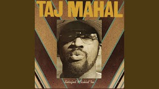 Miniatura de vídeo de "Taj Mahal - Ain't Nobody's Business"