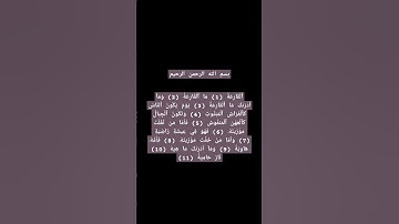 سورة القارعة | #اكسبلور #قران_كريم #اكسبلورر #لايك #ترند