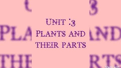 Science , Class 2 unit: 3 " Plants and their parts "