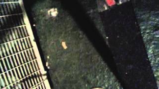 Ultra pro drop test