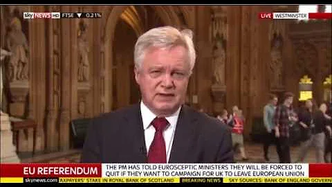 David Davis discusses the role of Ministers in the EU Referendum campaign on Sky News