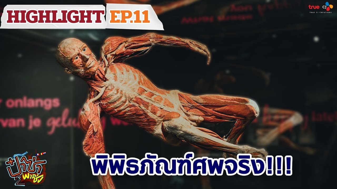 ป๋าซ่าพาซิ่ง ซีซั่น 2 (Highlight #EP11/2) พิพิธภัณฑ์ศพจริง!!! | ทุกวันพฤหัสบดี เวลา 21:30 น.