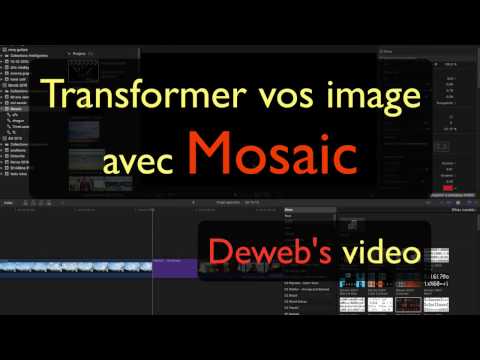 Vidéo: Mosaïque De Fonctions