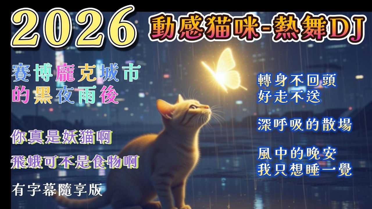🎀🎄【動感猫咪-轉身不回首-熱舞組曲】 動感猫DJ向您Say Hi~活力電音~連聽好歌不中斷~好聽好唱 #中文情歌 #ktv