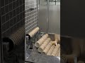 Fully automatic paper cup forming &amp; conveying. #papercupmachine #papercupformingmachine