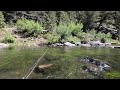 Fly fishing colorado spring on the south platte part 1