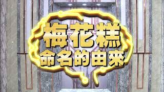 《全民星攻略》梅花糕命名的由來？