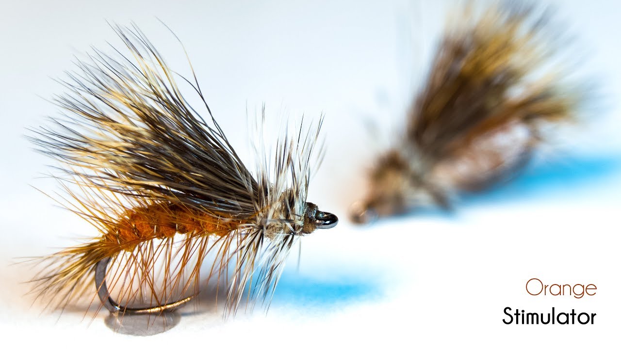 Stimulator DRY Fly - Versatile and effective! - McFly Angler Fly Tying  Tutorials 