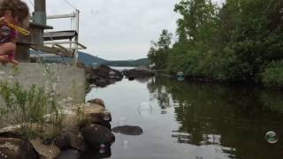 Bubbles bouncing on water