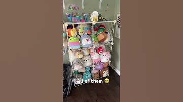 Collector check! #squishmallows #obsessed #collector #collection #fyp #shorts #fypシ