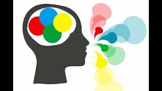 SALT Software: Fluency Codes
