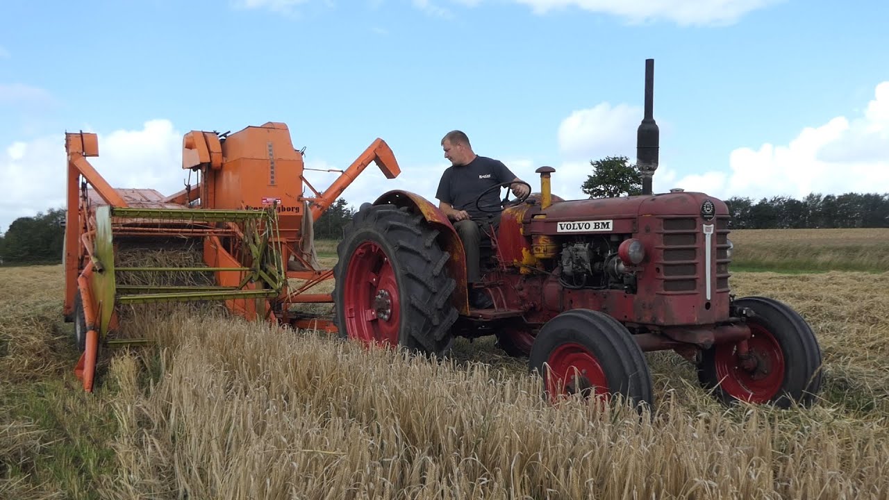 Volvo BM 350 Boxer harvesting spring barley w/ Dronningborg D600 Combine Harvester | DK Agriculture