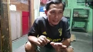 setingan burung Kacer beng beng harian dan lomba