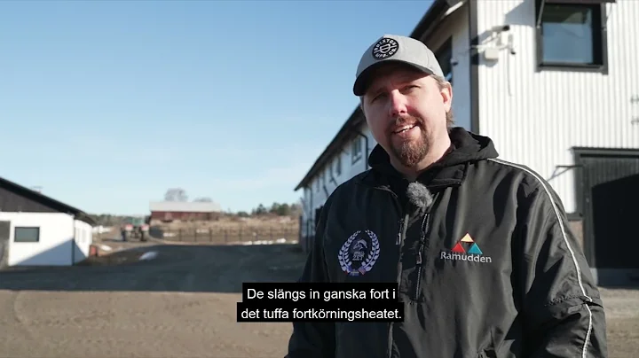 Praktikplats p Stall Zet, Daniel Redn berttar