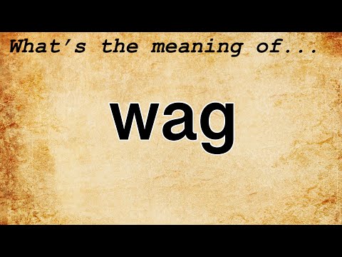 فيديو: ما هو wag English؟