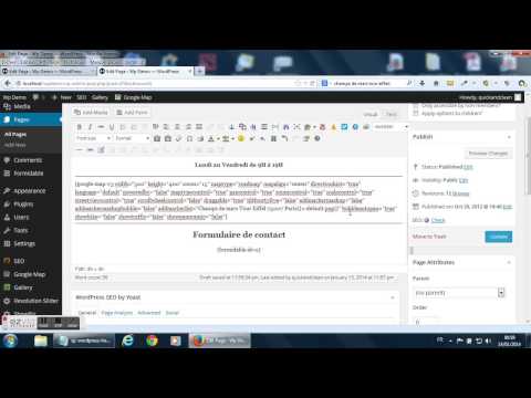 2010 Wordpress Quick and Clean 10 : How to edit a shortcode