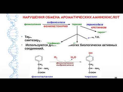 Видео: В чем разница между ферментативным и неферментативным потемнением?