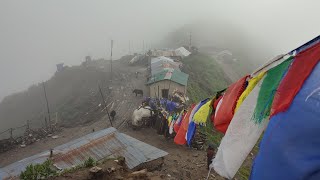 Most Relaxing And Peaceful Himalayan Village | Rainy Day in Nepal Village | Primitive Rural Village.