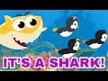 Baby shark & little penguins | song for kids & nursery rhymes | Leigha Marina