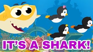 Baby shark & little penguins | song for kids & nursery rhymes | Leigha Marina