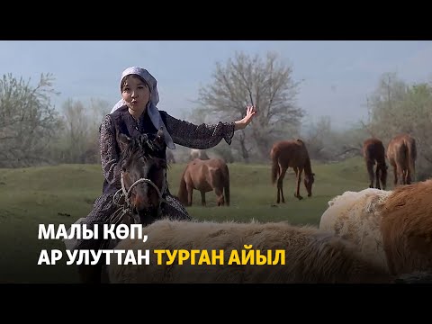 Video: Эмне үчүн менин септиктин айланасында суу бар?