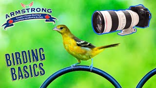 BIRD PHOTOGRAPHY 101 - How to start shooting birds - BIRDING BASICS