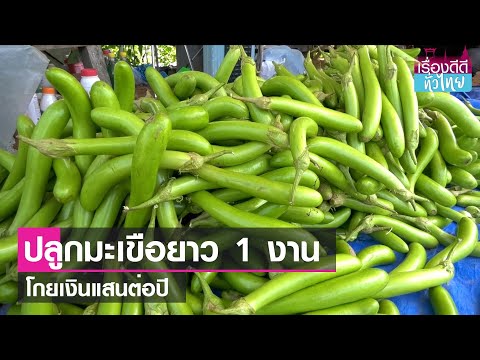 วีดีโอ: 5 สัญญาณความร้อนใต้พื้นรั่ว