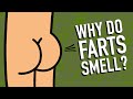 Understanding Farts: Causes and Composition