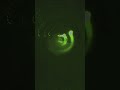 Night Park Lights Green Toxic Trippy Dizzy Filmed