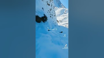 سورة العنكبوت الآية 56-57 القارئ عبد الرحمن مسعد