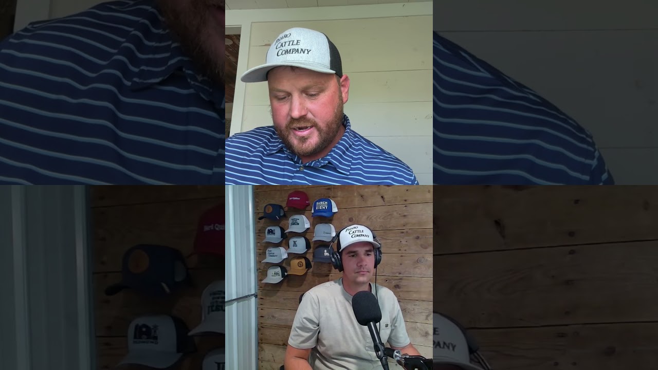 Episode 286 with James Paul Bailey on building a cattle ranch and chicken farm!