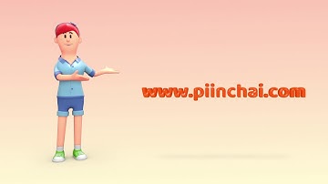 Piinchai.com 3D Explainer