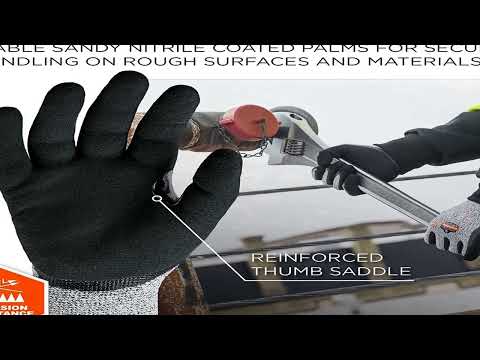 Best cut resistant