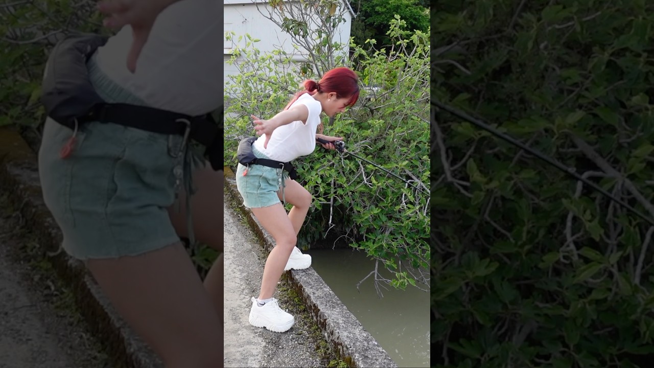 雨上がりの用水路がすごいww #fishing #マルコス #釣り #fishing #mancing