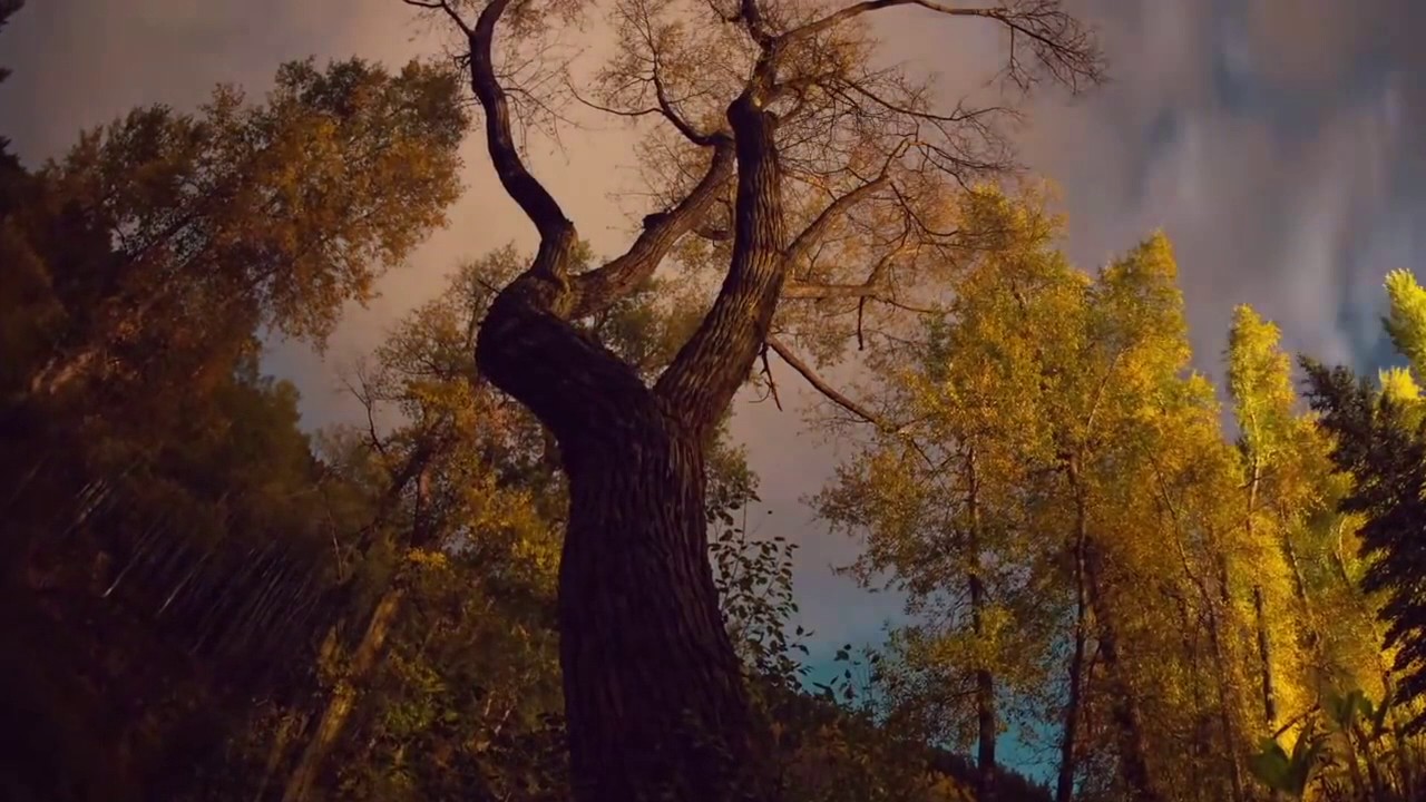 TANGERINE DREAM/JON ANDERSON LOVED BY THE SUN YouTube