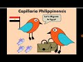 Capillaria Philippinensis الشعارية الفليبينية