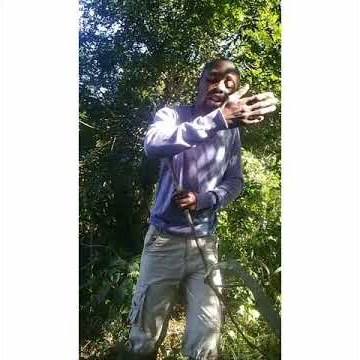 Anginabani
