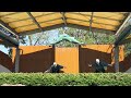 K-BOX よさこいと踊りのフェスティバルin寺泊